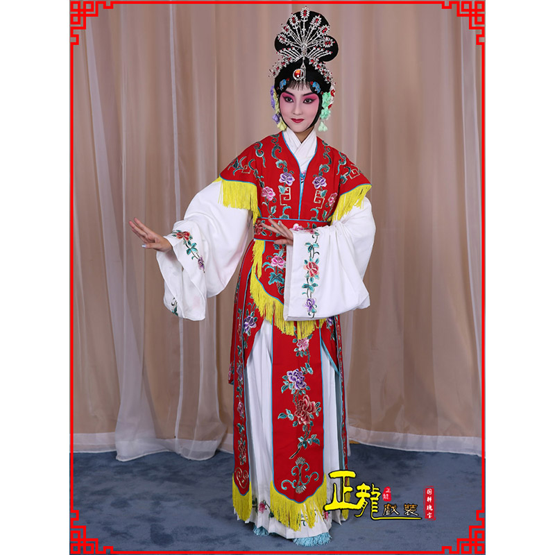 天山戏曲服装舞台演出红娘装